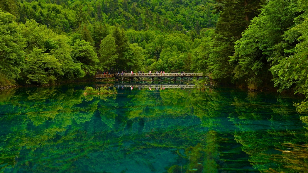 四川九寨沟4K高清风景壁纸，湖泊、桥梁与森林，3202x1800分辨率下载