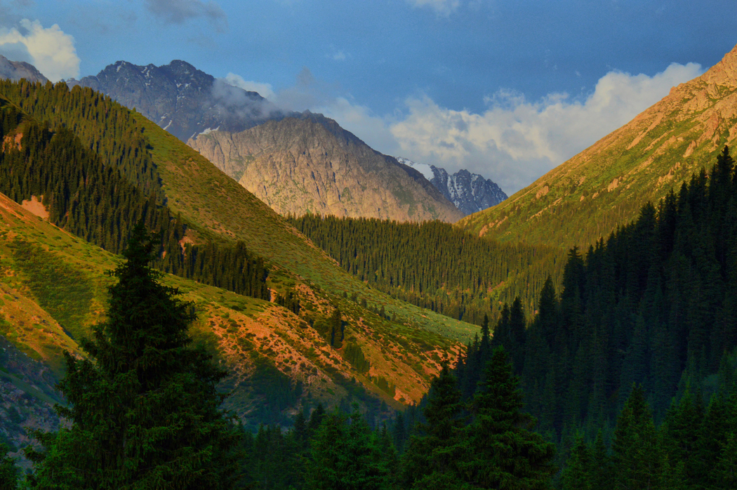 吉尔吉斯斯坦峡谷高山树木4K风景图片，高清壁纸2048x1362免费下载