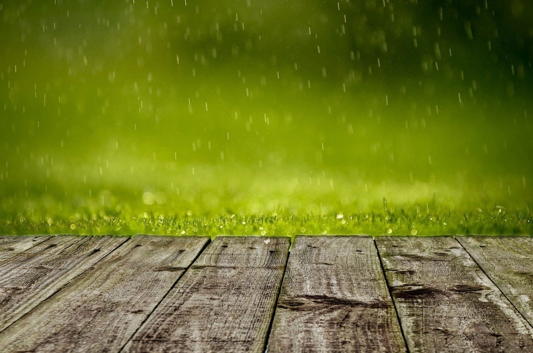 春雨浸润的木板路4K高清背景壁纸 1920x1271 下载