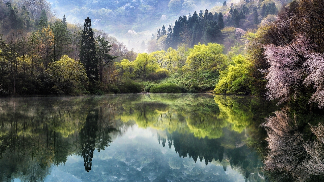 4K高清自然风景图片，湖泉树林樱花壁纸，2500x1406分辨率下载