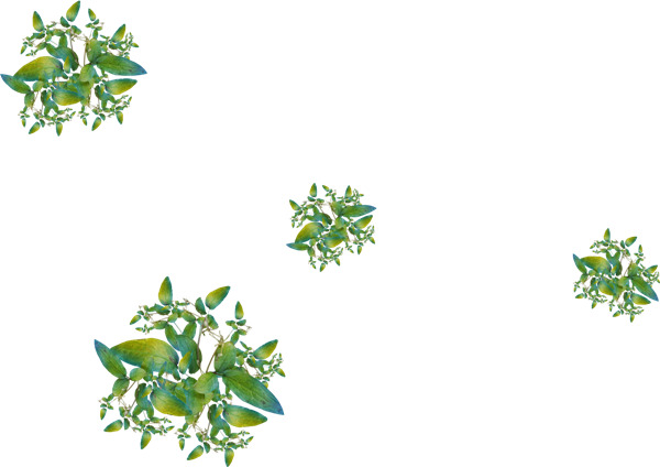 高清PNG透明花朵素材，4簇漂浮花瓣设计元素下载