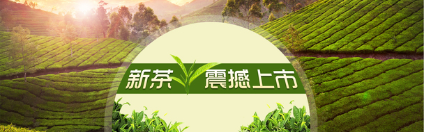 新茶上市高清PNG透明Banner素材下载