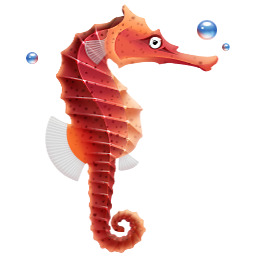 海马海洋生物高清PNG图标，透明装饰元素下载