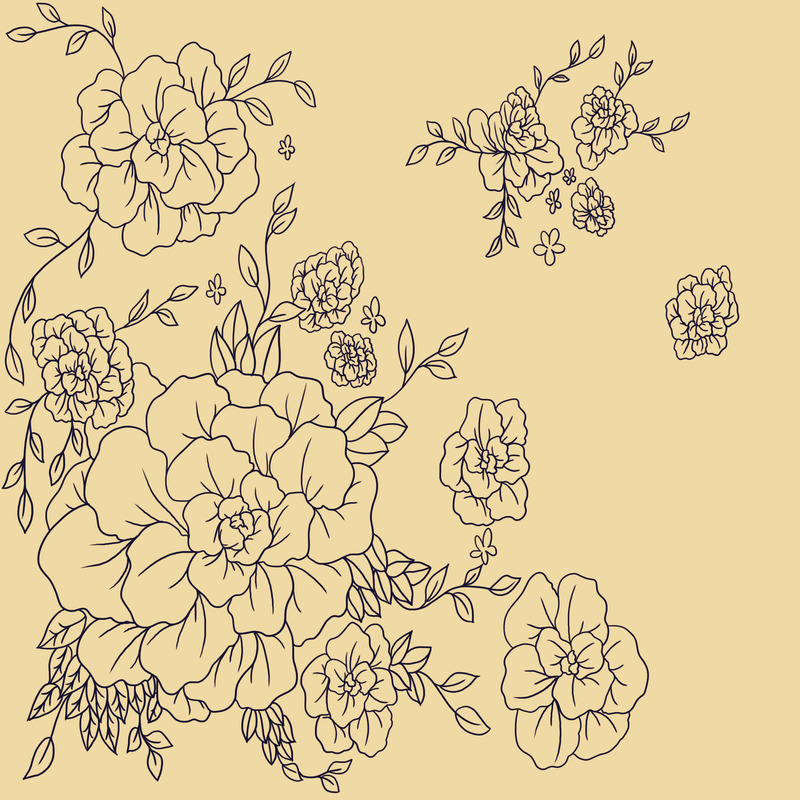 图案设计，A160高清PNG动植物彩印花边，透明背景，植物元素图片素材下载