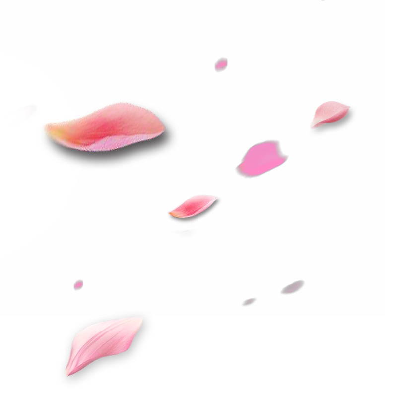 高清PNG透明漂浮花瓣设计素材下载