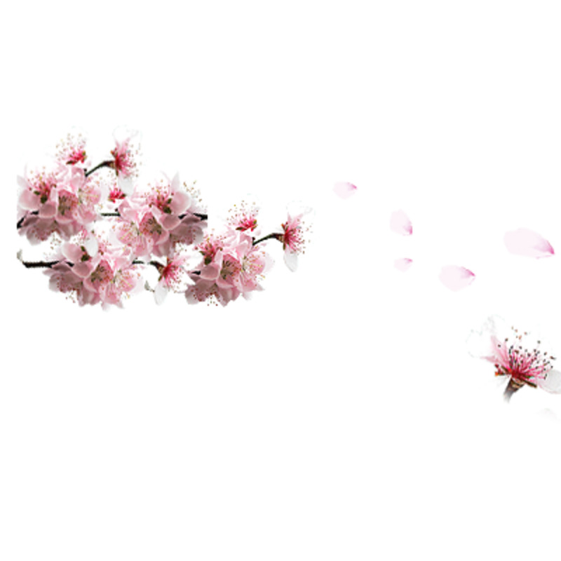 高清桃花PNG透明漂浮花瓣设计素材下载