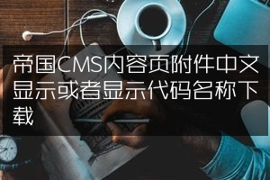 帝国CMS内容页附件中文显示或者显示代码名称下载