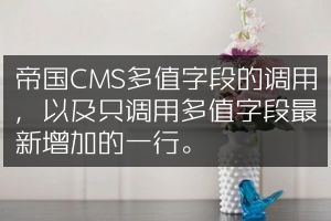 帝国CMS多值字段的调用，以及只调用多值字段最新增加的一行。