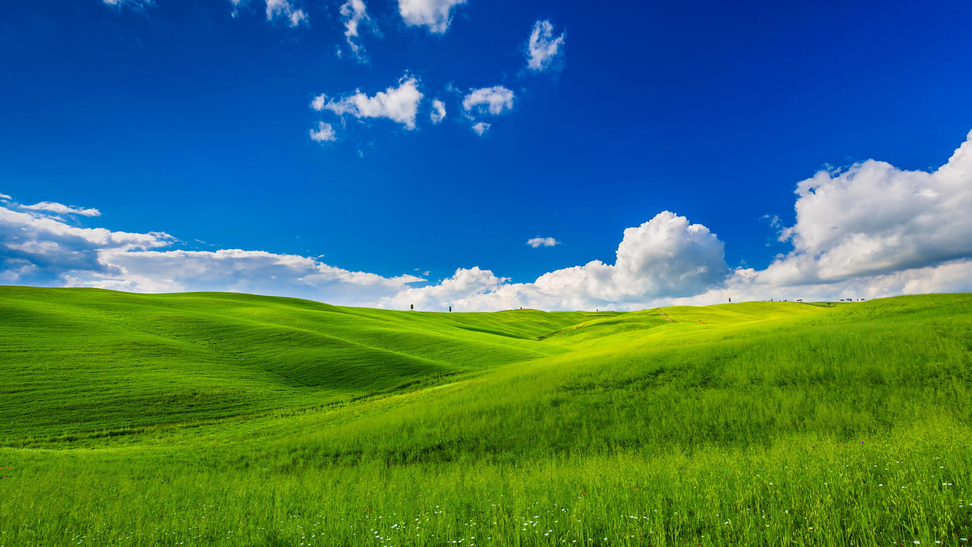 护眼,绿色,一望无际,晴朗,蓝天白云,草原,风光桌面壁纸
