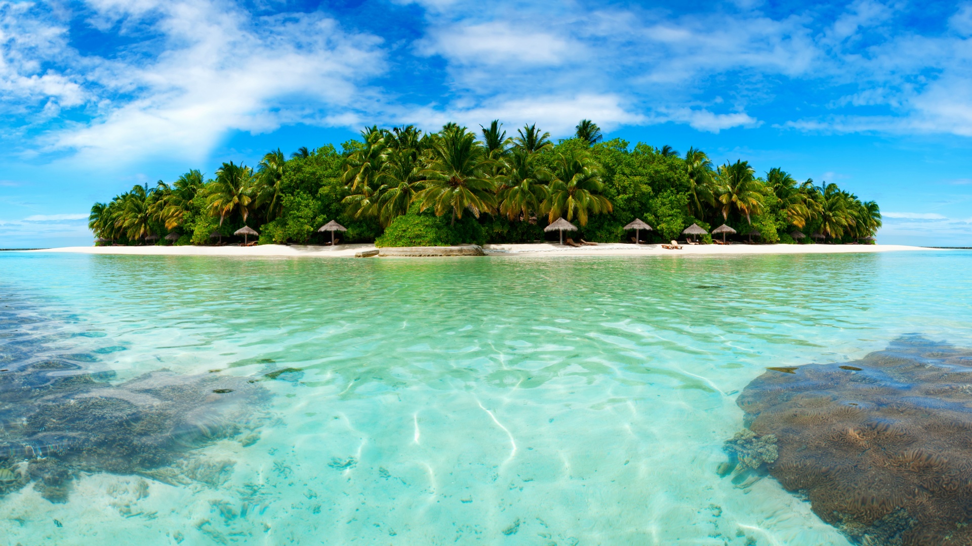 棕榈树,小岛,岛上的树木,大海,沙滩,风景桌面壁纸