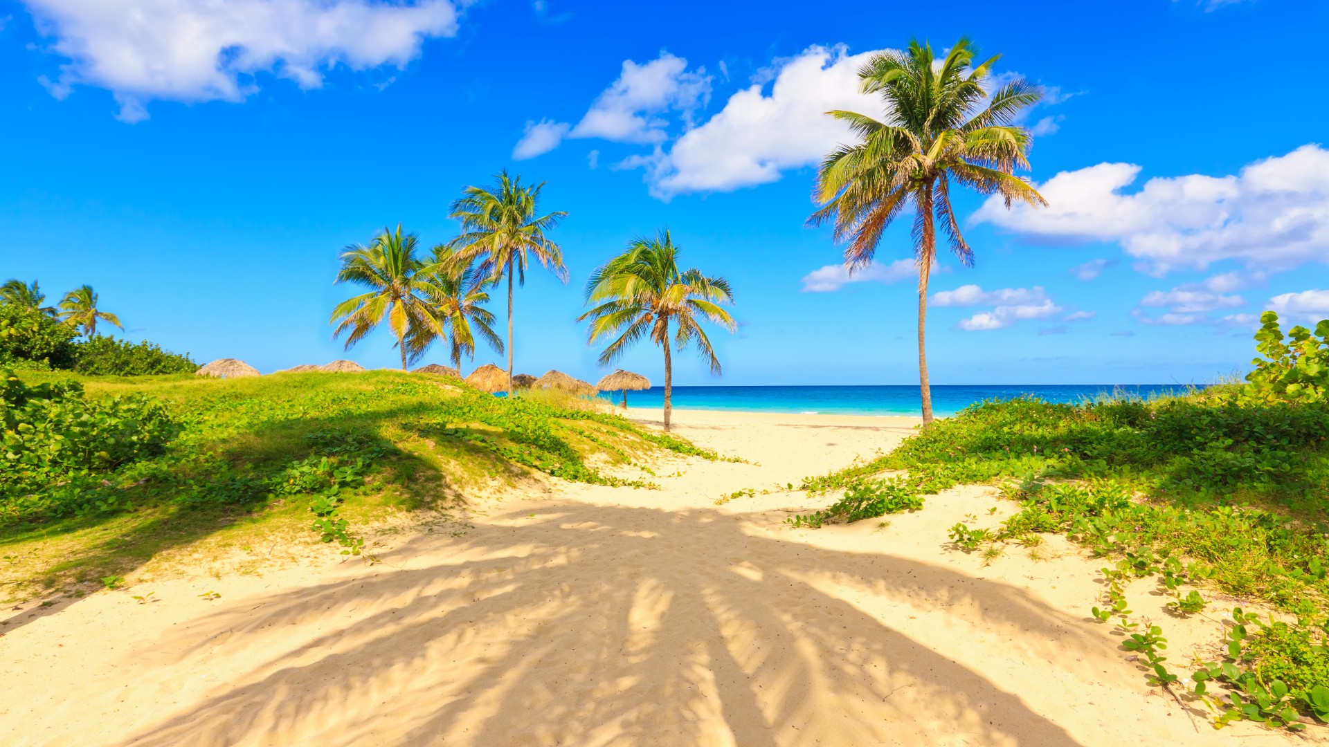 夏天，沙滩，海岸，热带天堂，棕榈树，大海自然风景桌面壁纸