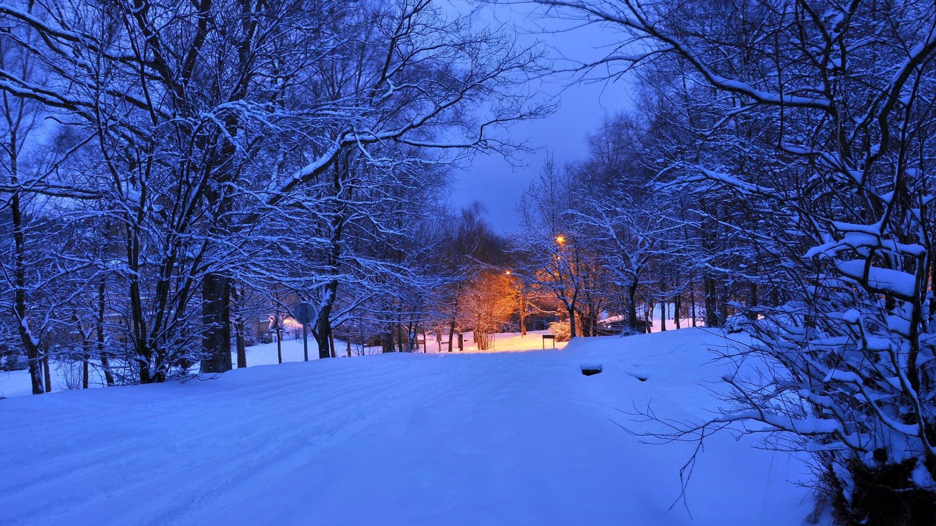 夜，晚上，光，灯，冬天，公路图片，风景壁纸