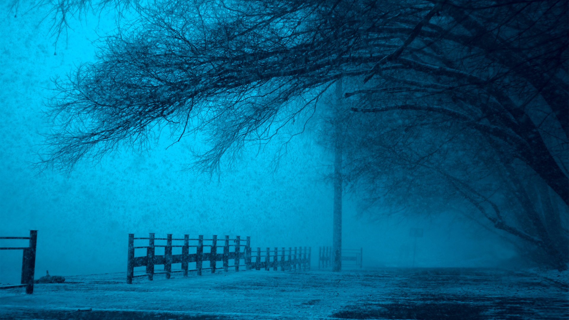 莫斯科，雾，清晨，栅栏，迷雾森林风景桌面壁纸