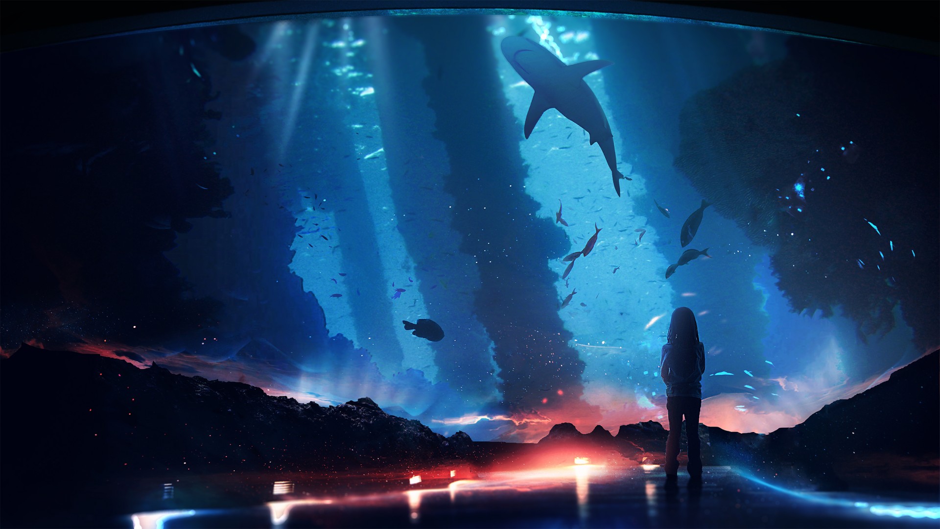 水族馆,鲨鱼,女孩,电脑壁纸