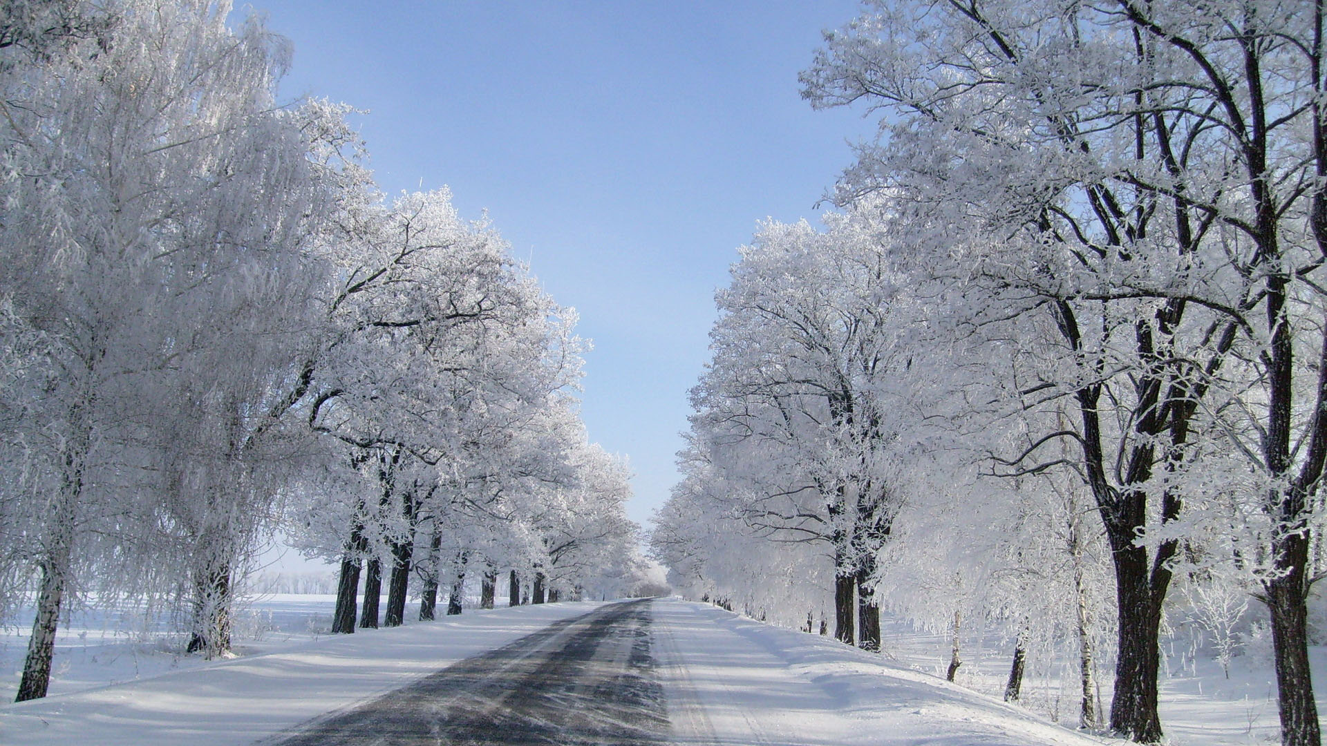 下雪后公路美景桌面壁纸