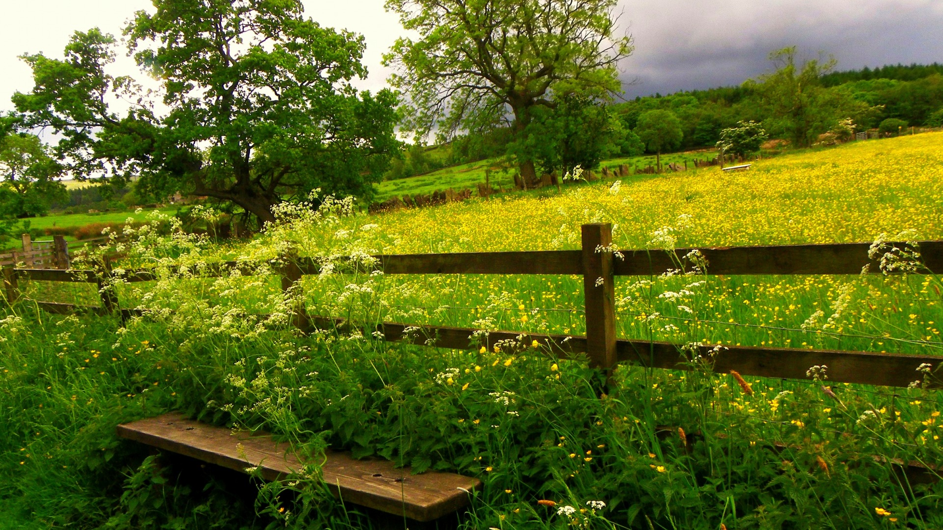 板凳，栅栏，花，草，树木，天空，云，自然风景壁纸