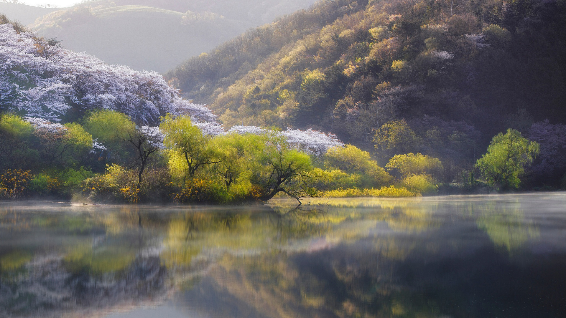 自然 河流 湖水 树木 日本风景桌面壁纸