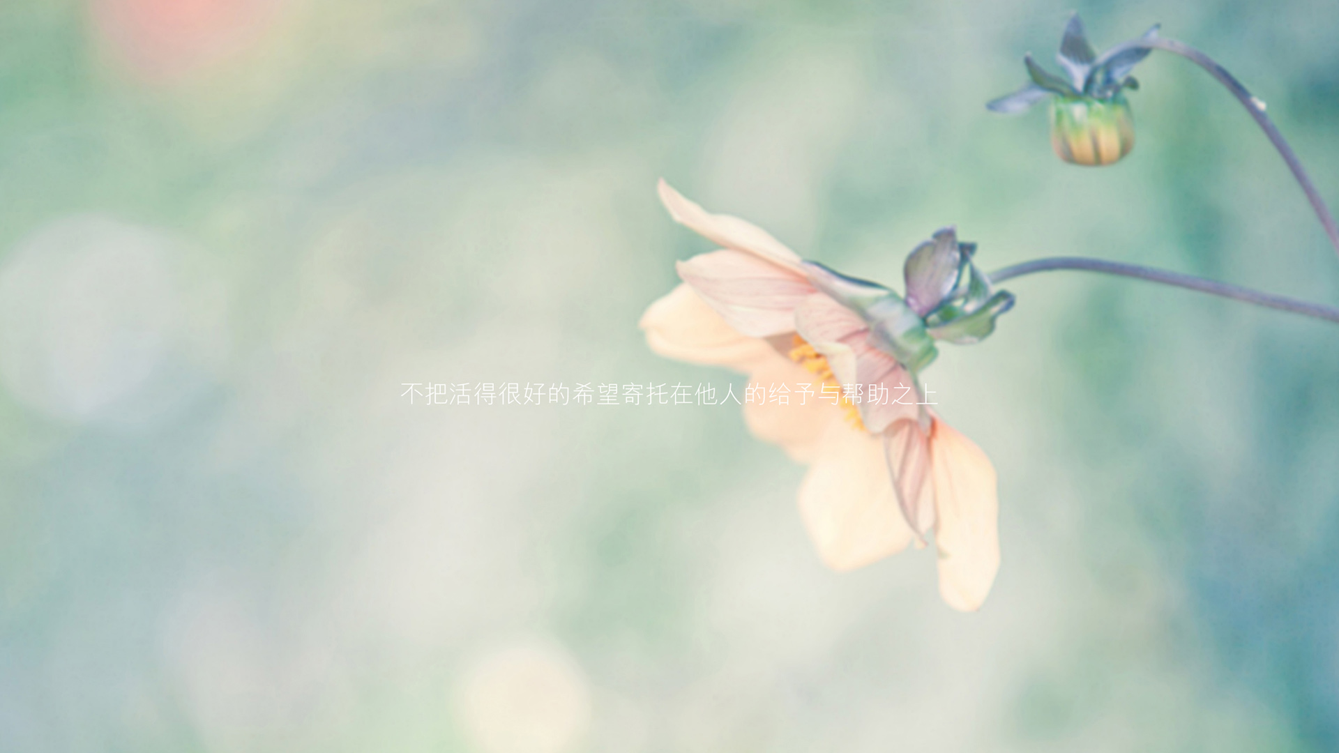 不把活得很好的希望寄托在他人的给予与帮助之上，文字壁纸