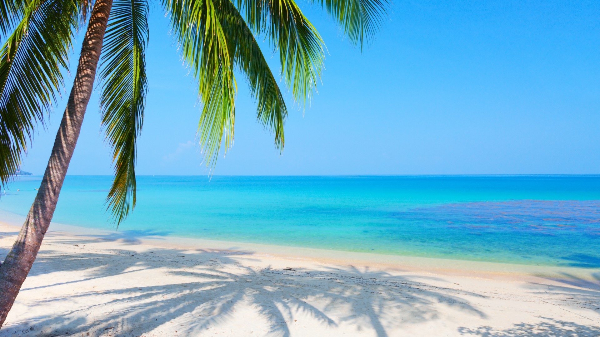 蓝色大海,天空,棕榈树,海滩风景桌面壁纸