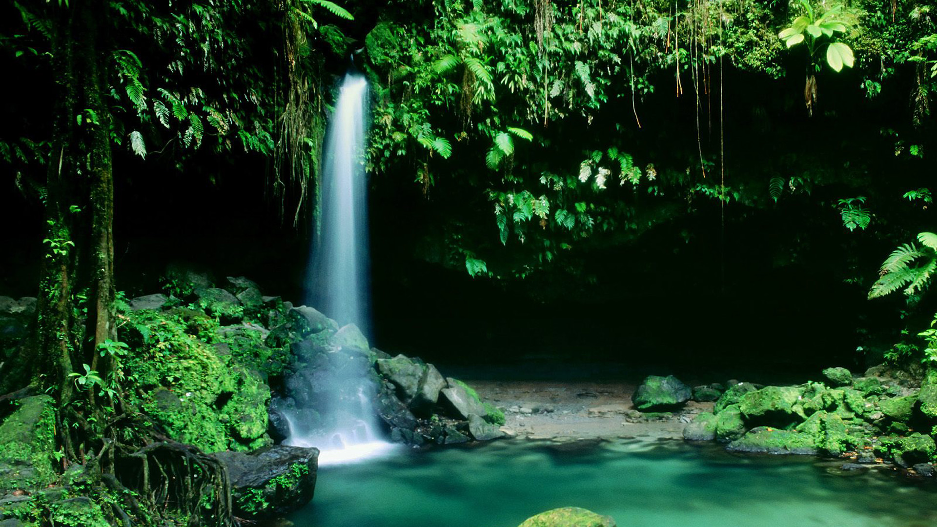 多米尼加的特鲁瓦,皮顿山国家公园,瀑布风景壁纸