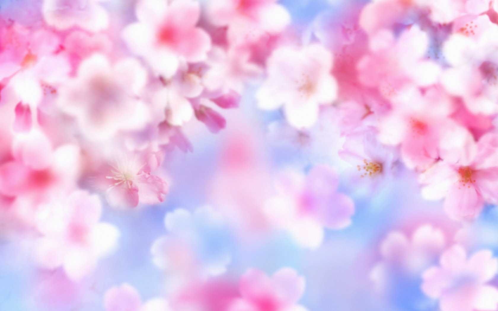 粉色花背景图片桌面