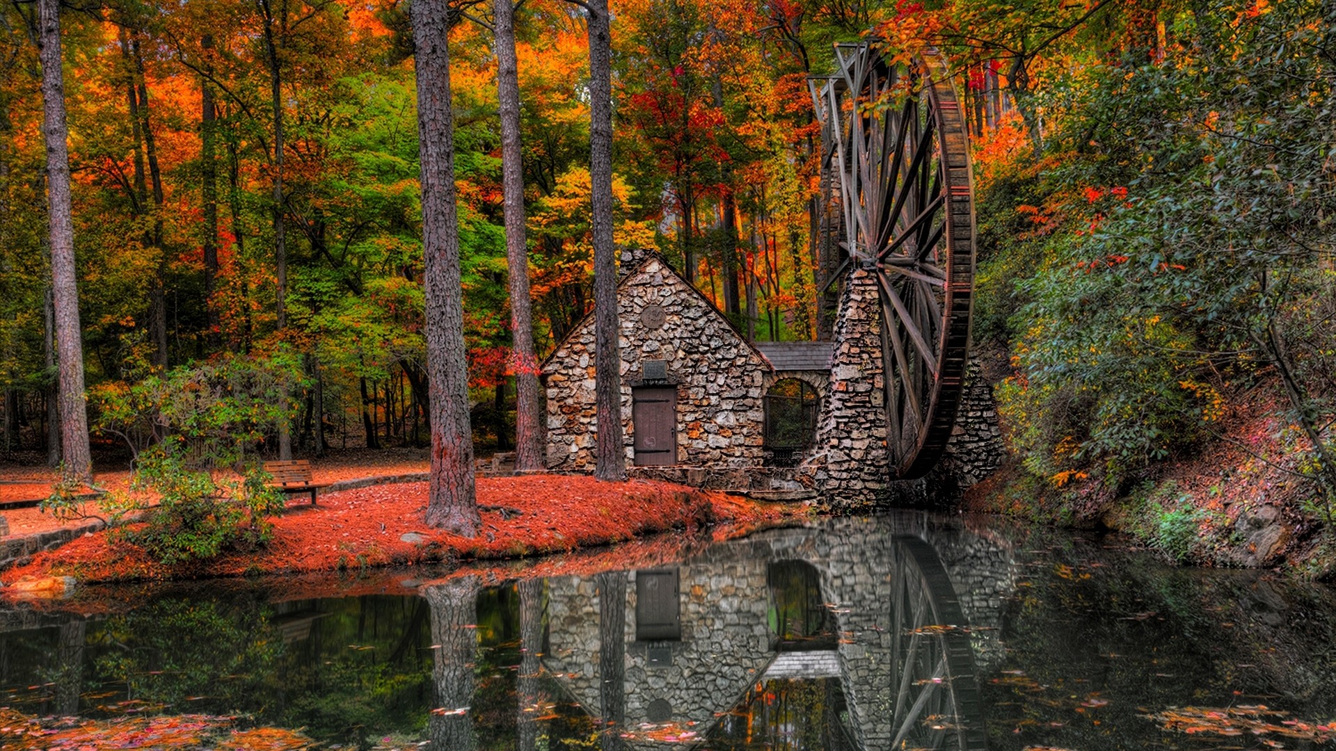 森林,秋天,落叶,水磨机,公园,风景桌面壁纸