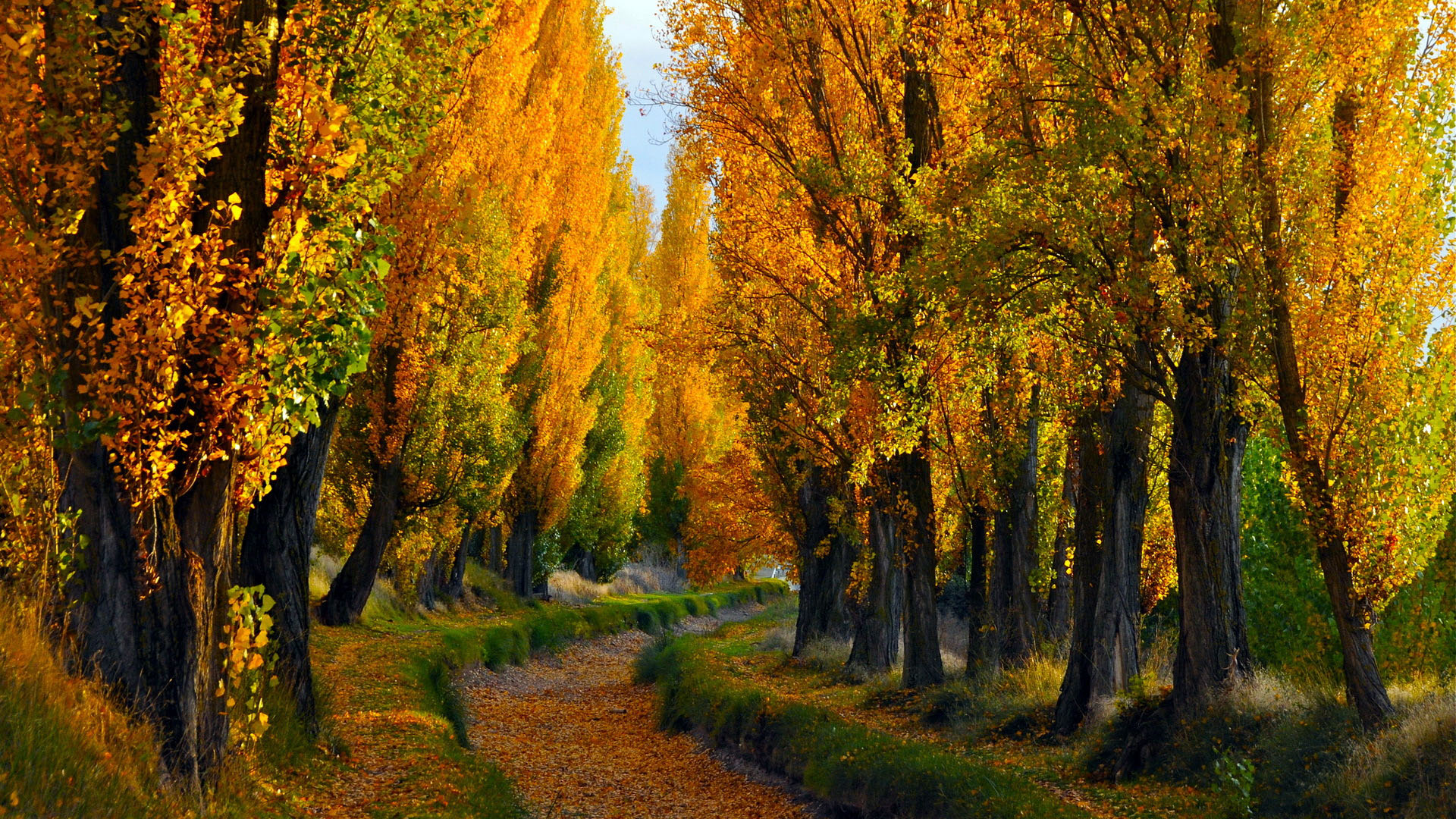 美丽的秋天自然风景图片壁纸