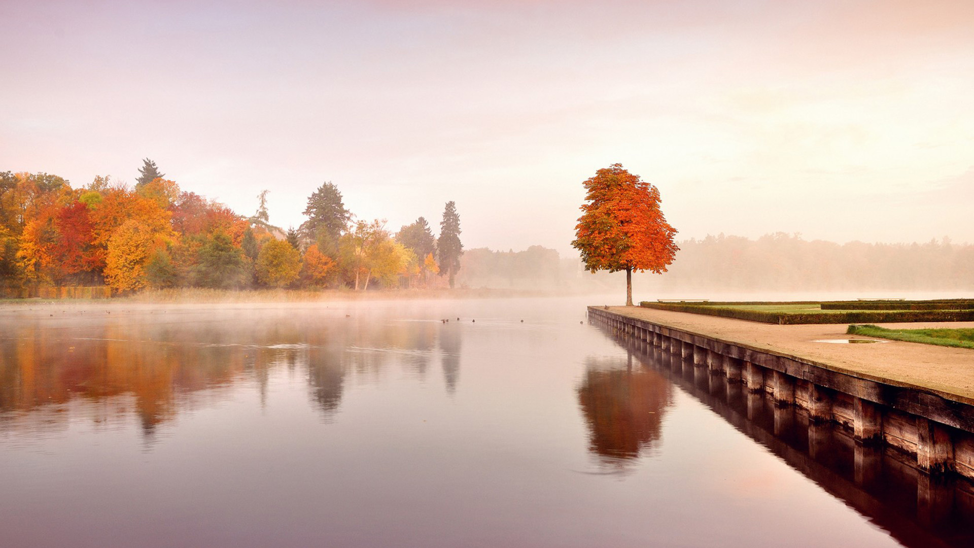秋天风景,湖水,树木,秋天风景壁纸