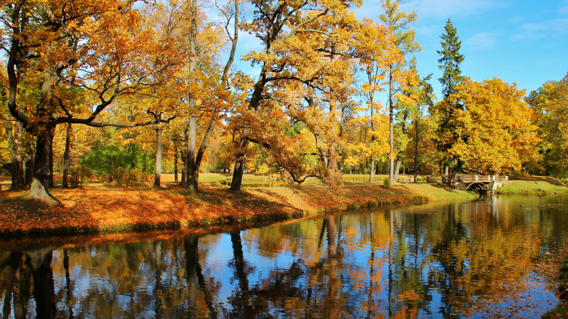 秋天公园的树木,小河流,风景桌面壁纸