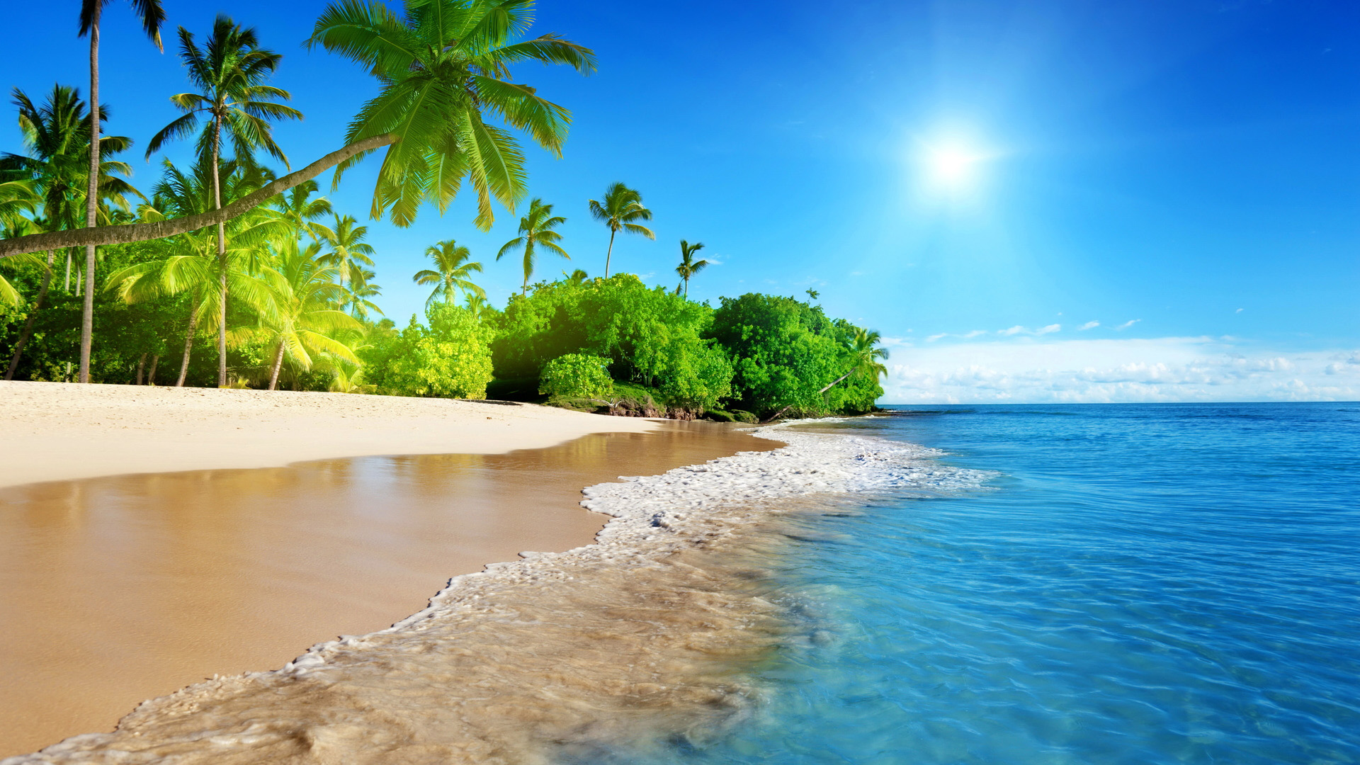 蔚蓝的大海,海边,沙滩,树,太阳,风景壁纸