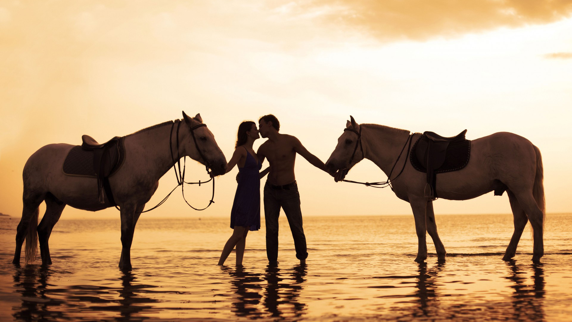 浪漫,爱情,海边,恋人,接吻,马,意境壁纸