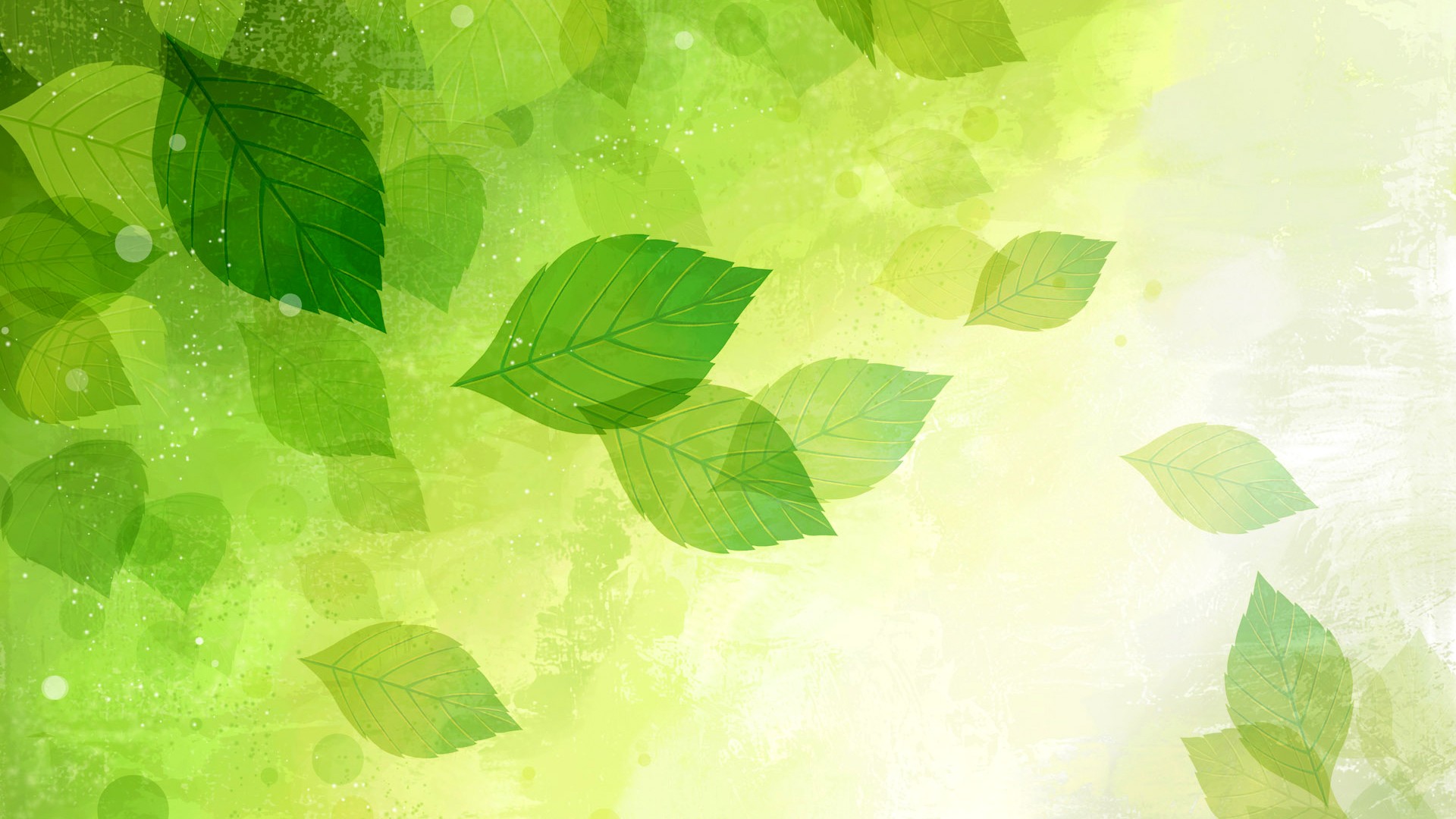 叶子,自然清新,绿色背景,矢量图片壁纸