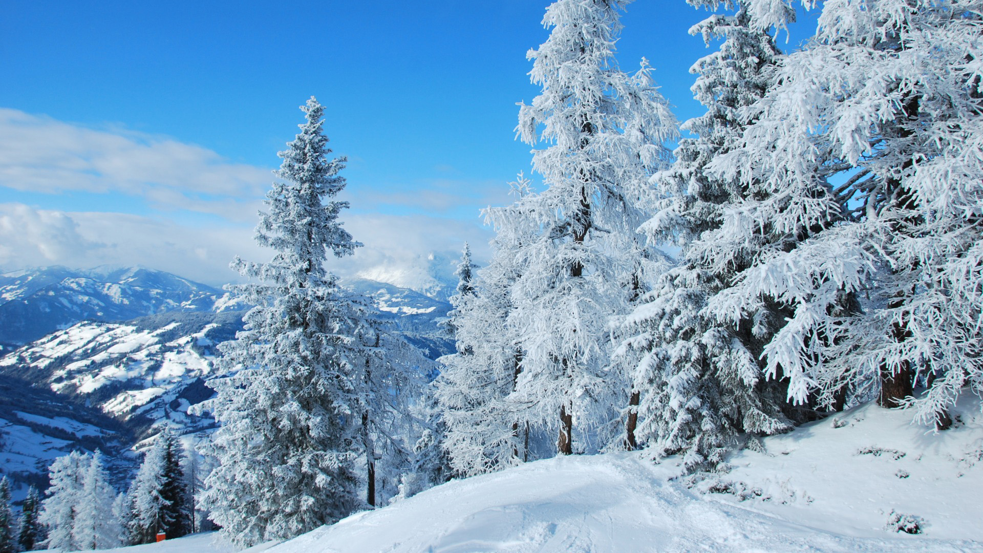 奥地利,森林,冬天,雪地,自然风景桌面壁纸