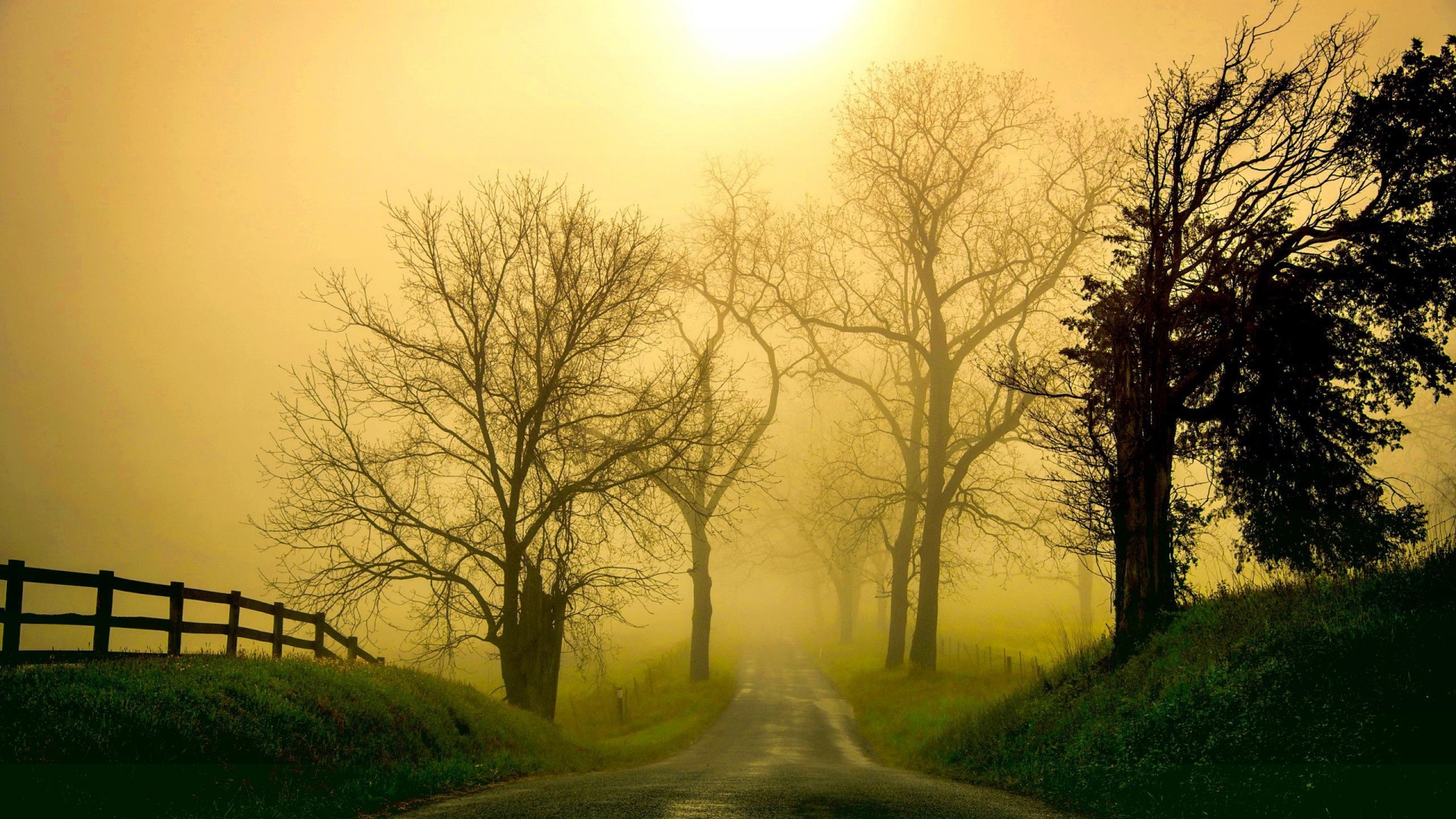 晨雾，树木，栅栏，公路，风光桌面壁纸