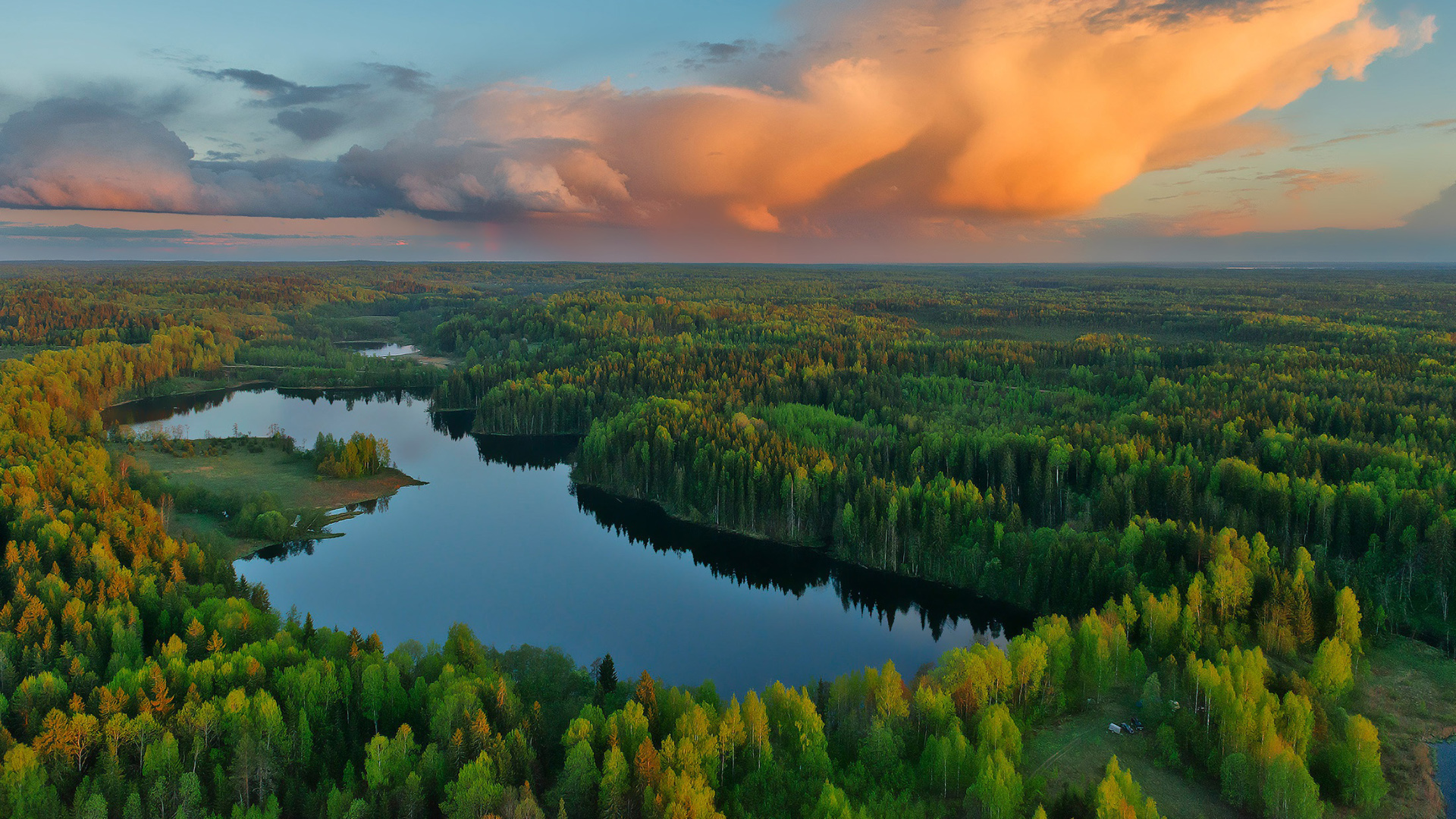 俄罗斯 特维尔区 美丽的湖 树林 风景桌面壁纸