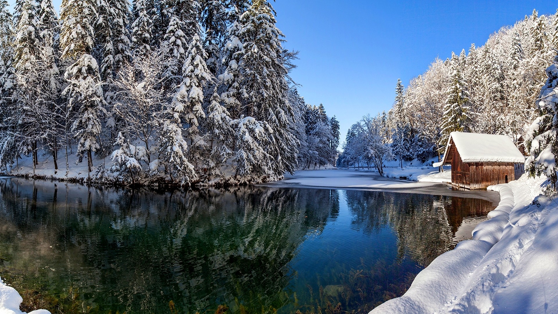 雪,冬天,房子,河水,树林,美丽的倒映,自然风景桌面壁纸