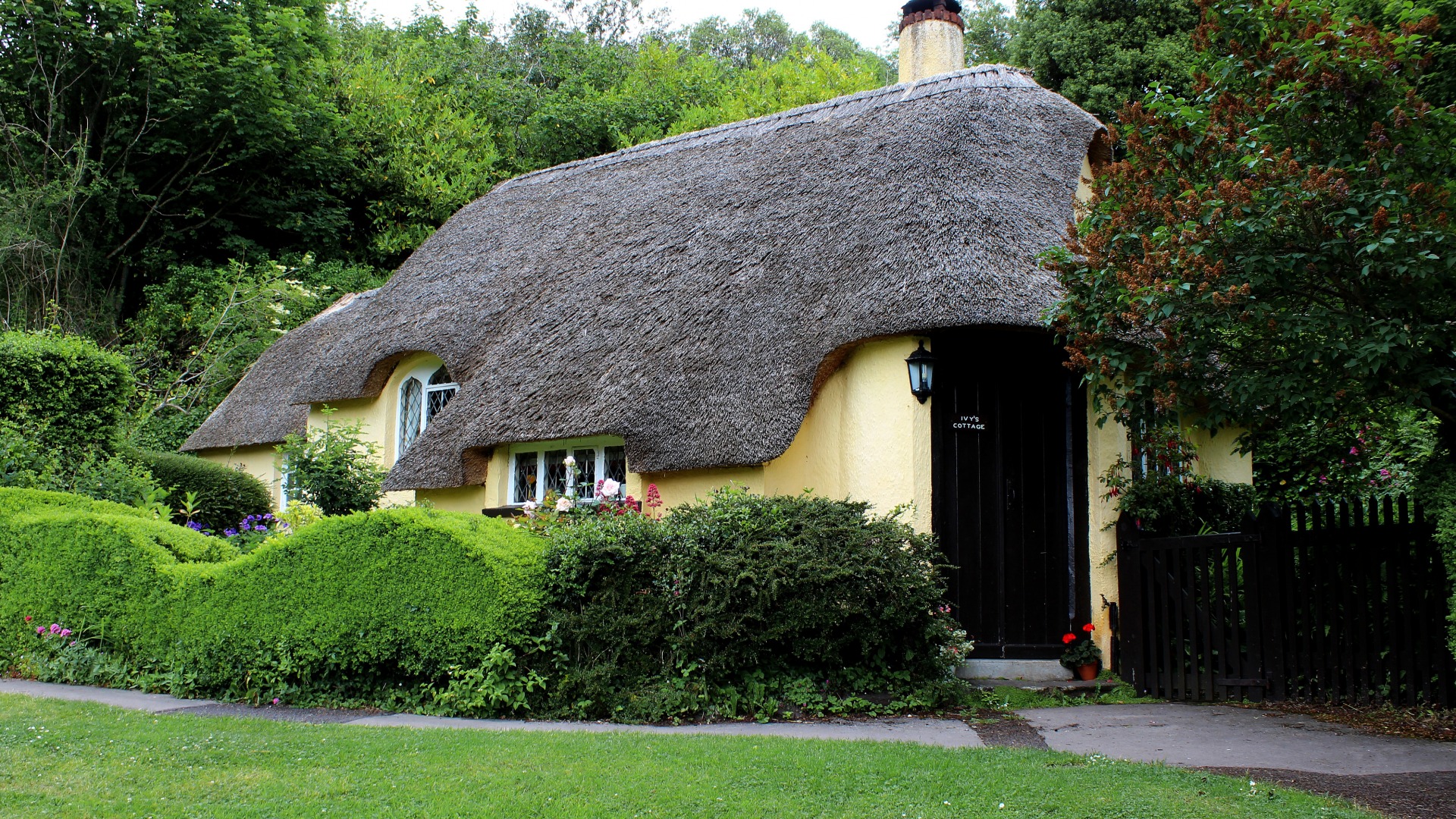 英格兰，房子，茅屋顶，树，茅草屋，风景壁纸