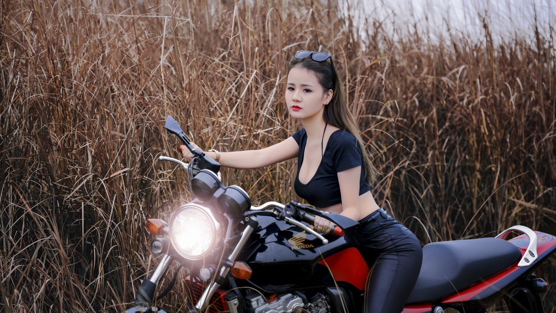 芦苇草丛,摩托车性感美女桌面壁纸