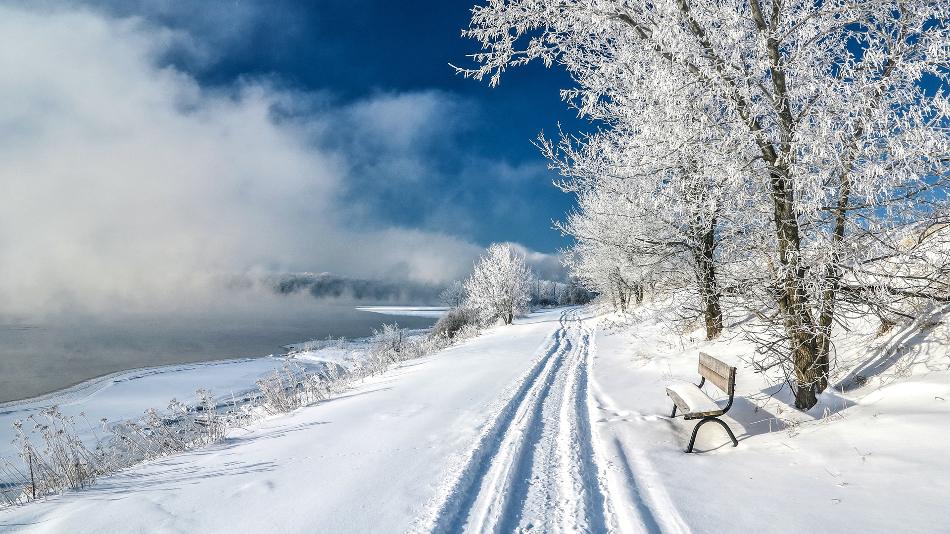 冬天树木雪地道路风景桌面壁纸