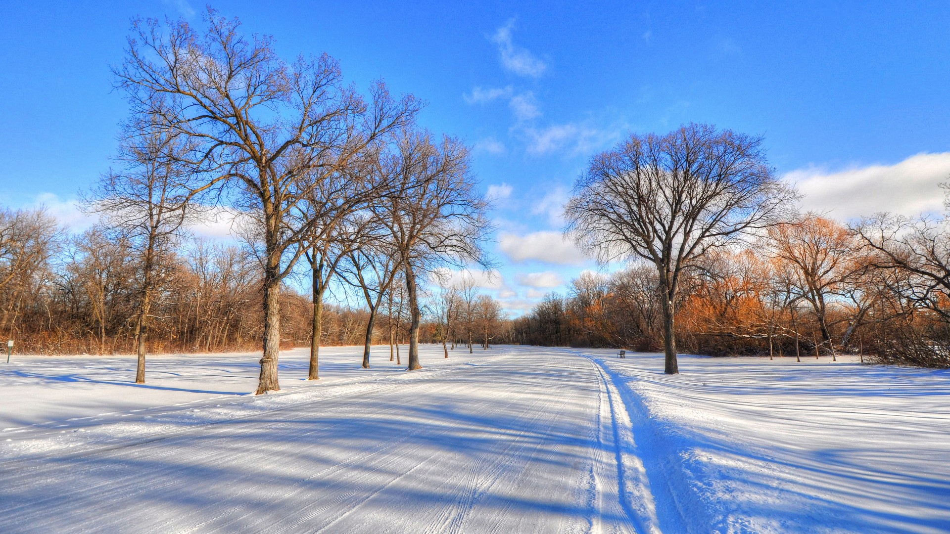 冬天,雪,道路,天空,云,霜,自然风景美图壁纸