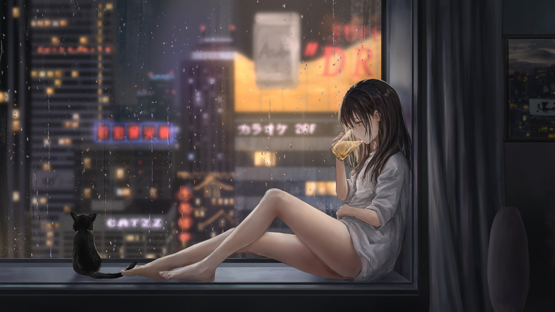 女孩子 啤酒 飘窗 夜景 都市风景 雨 猫 动漫壁纸