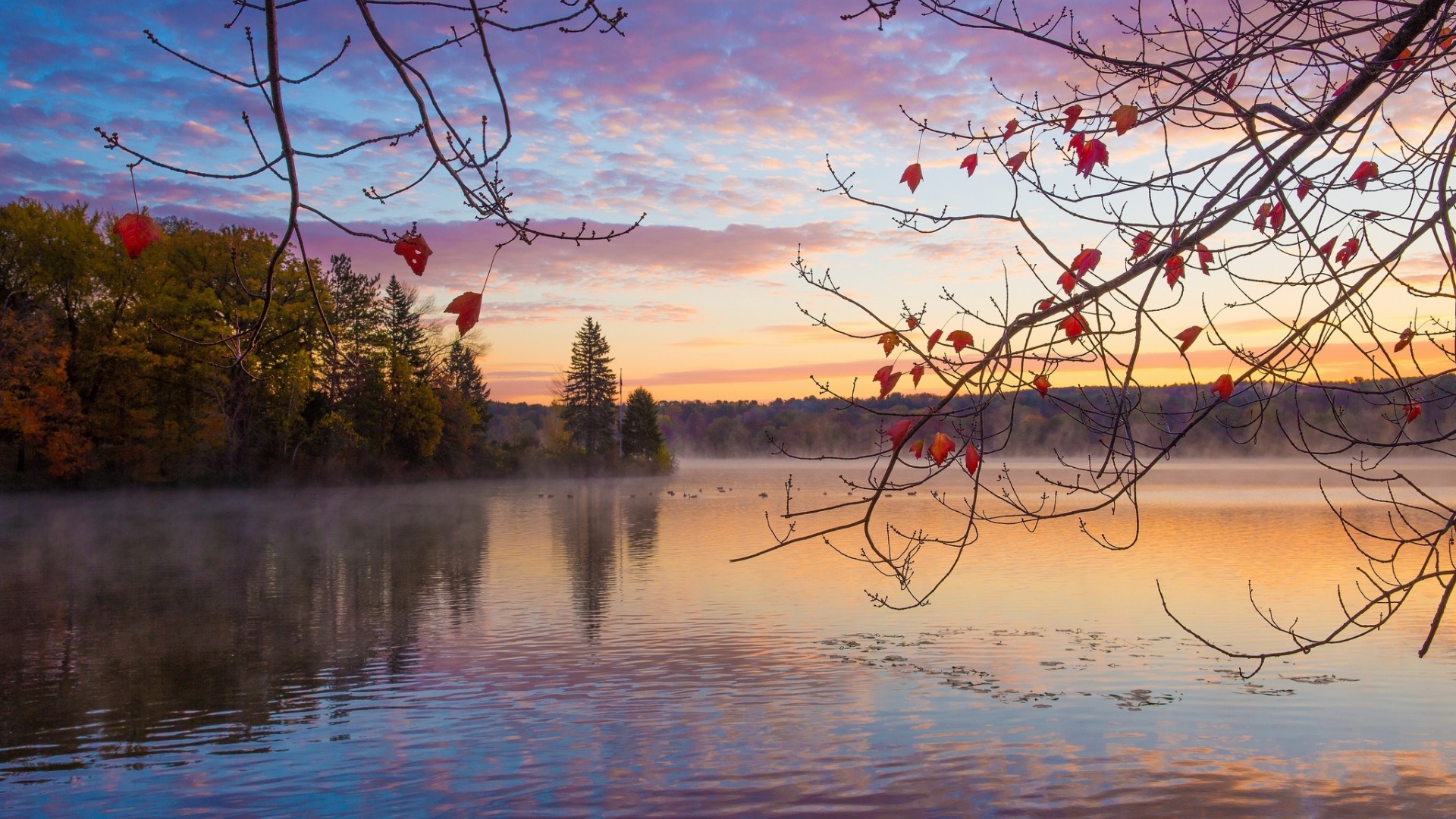 秋季，森林，湖泊，早上，日出，风景桌面壁纸