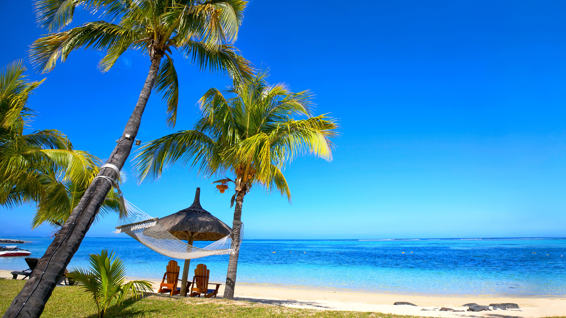 蓝色大海风景，天空，沙滩，棕榈树，海洋，夏天，风景桌面壁纸