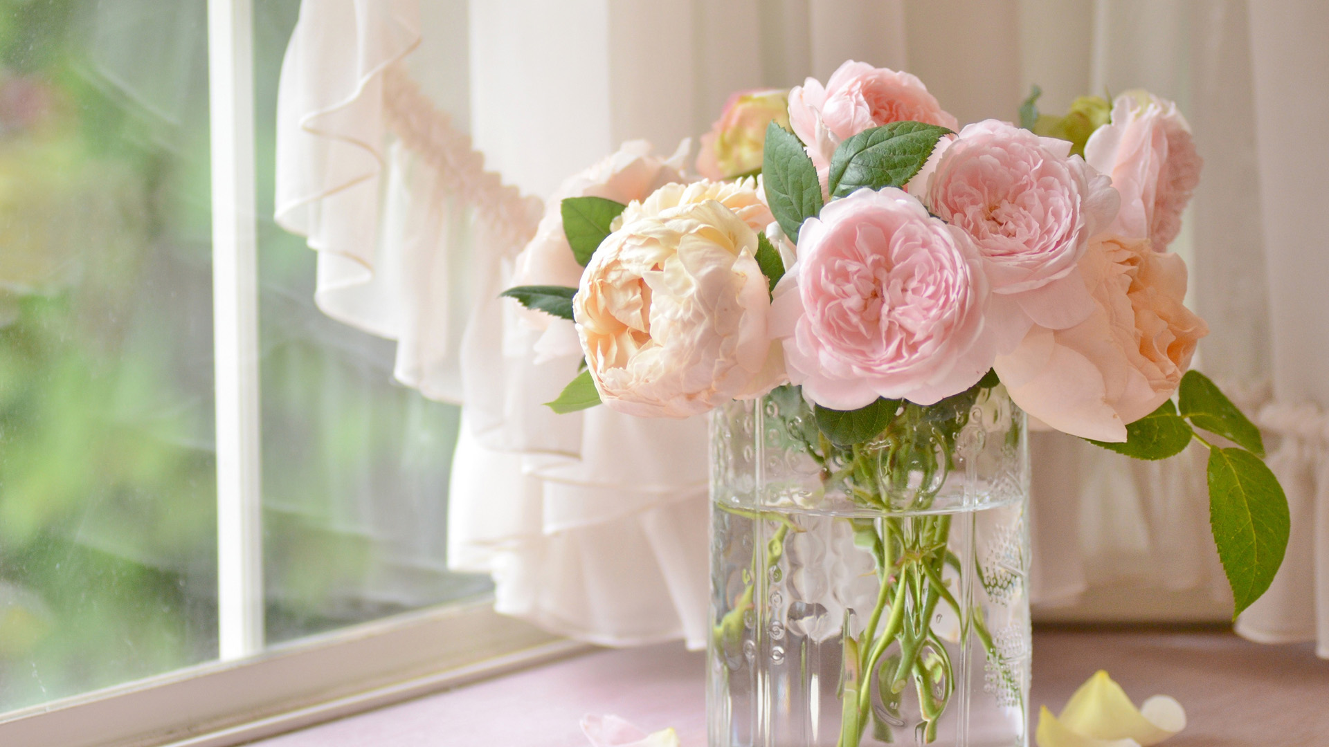 粉色玫瑰花,花束,花瓶,温馨电脑壁纸
