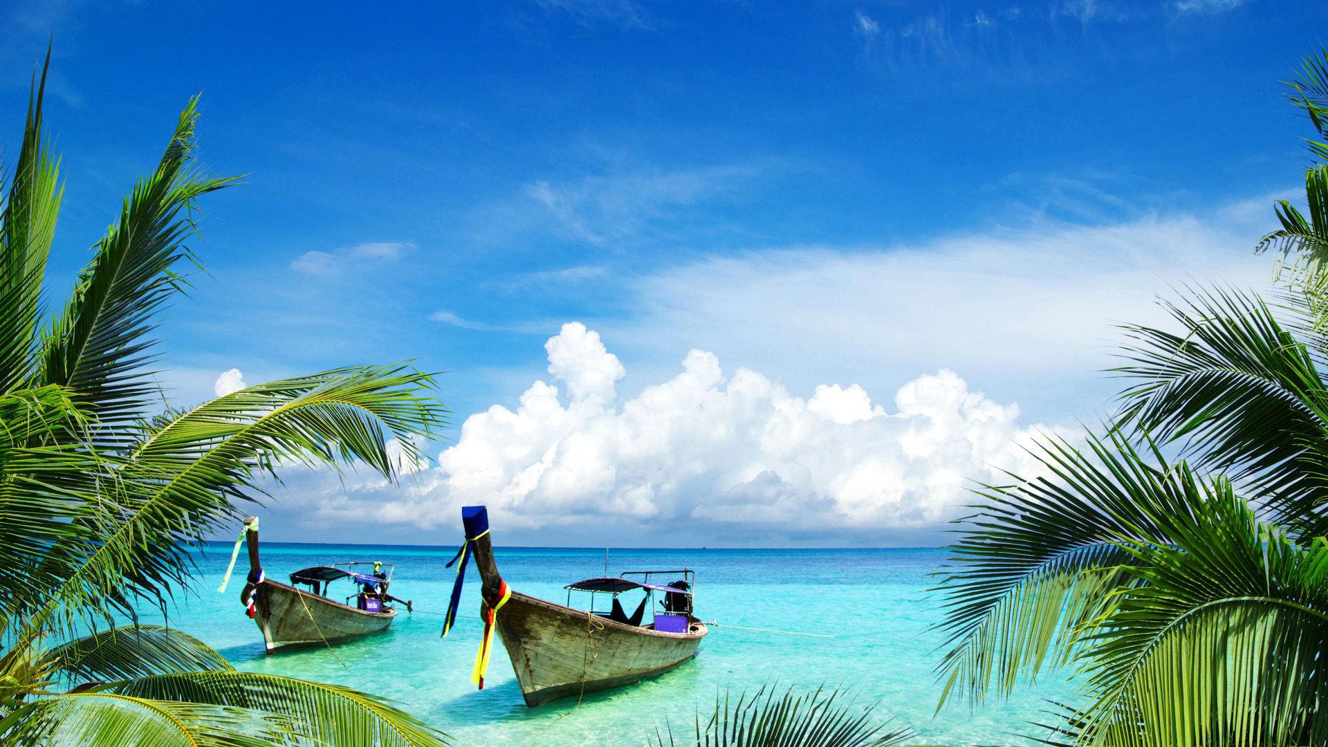 热带，海岸，船，棕榈树，大海天空风景桌面壁纸