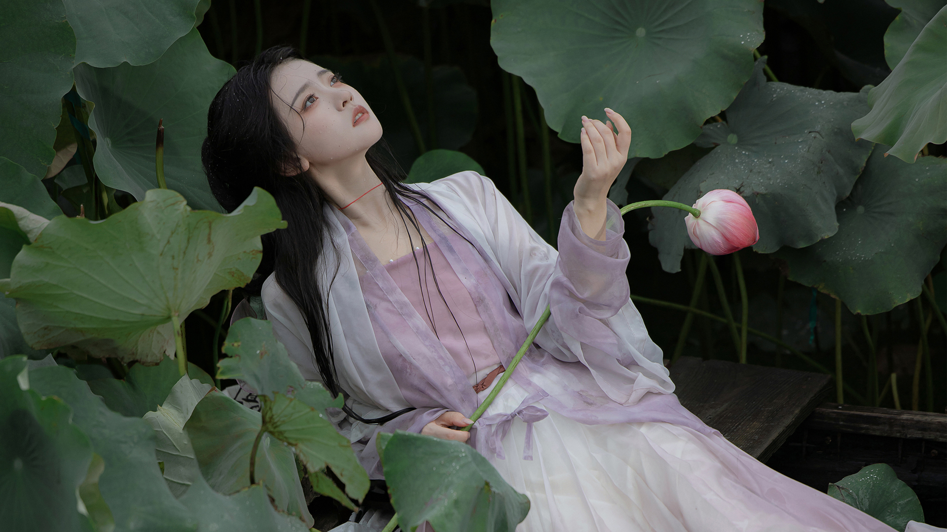 荷叶 荷花 唯美漂亮古风美女电脑壁纸