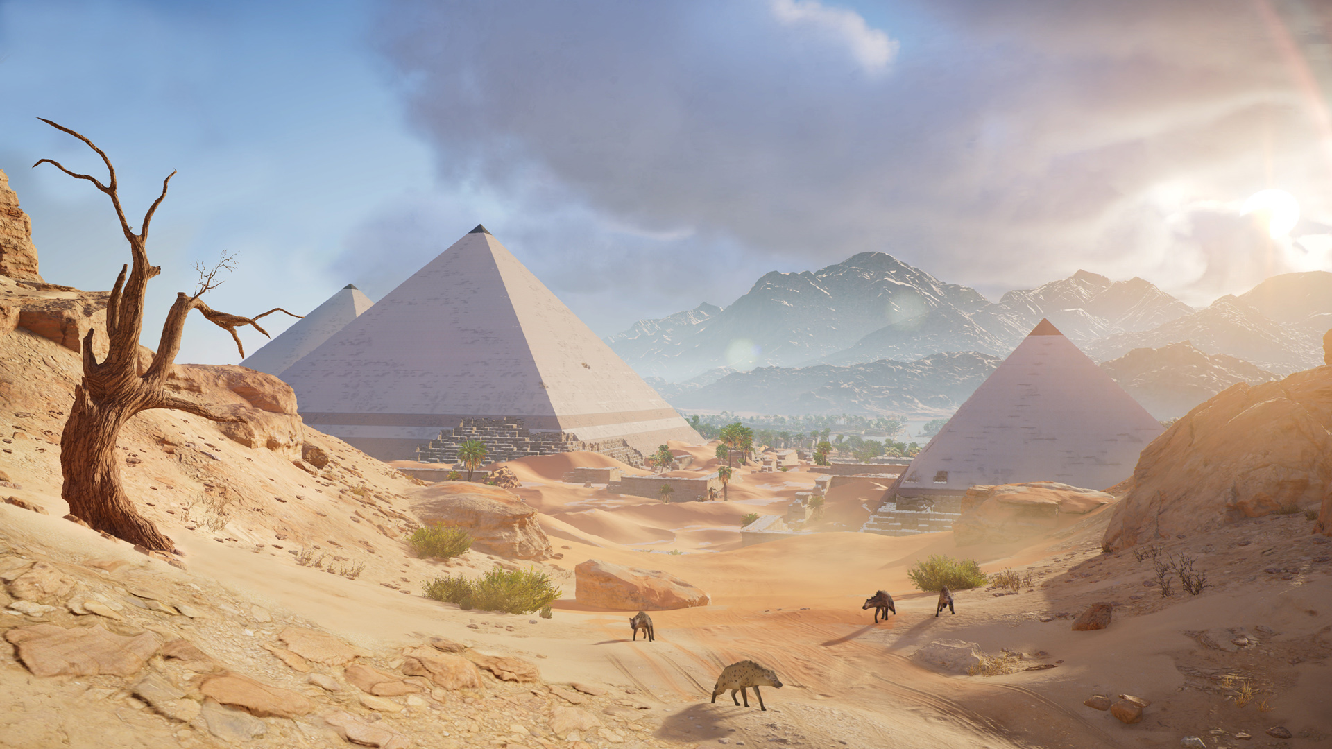 刺客信条,沙漠,埃及金字塔,桌面壁纸