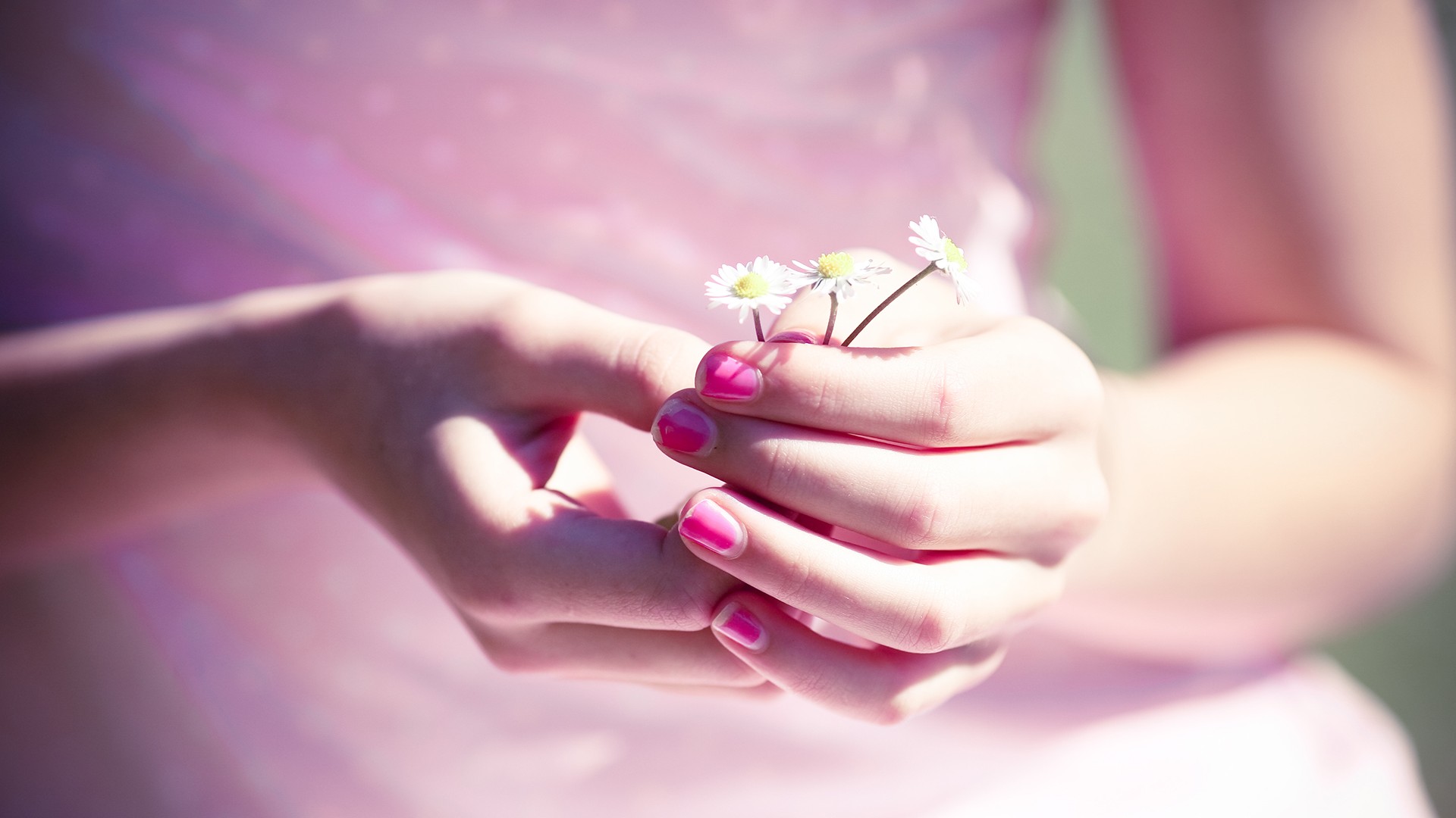 唯美女孩,粉红指甲,小花,桌面壁纸