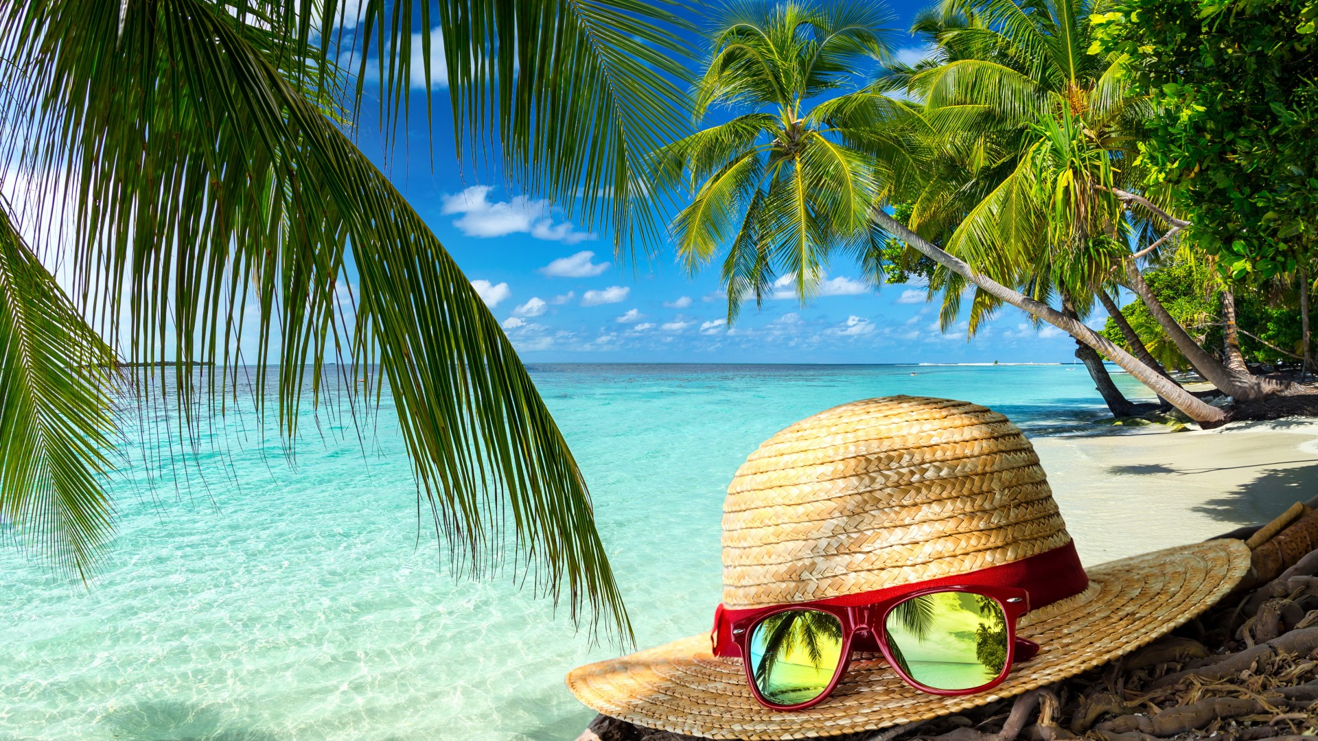 沙滩,大海,海滩度假,树,帽子,眼镜,风光桌面壁纸