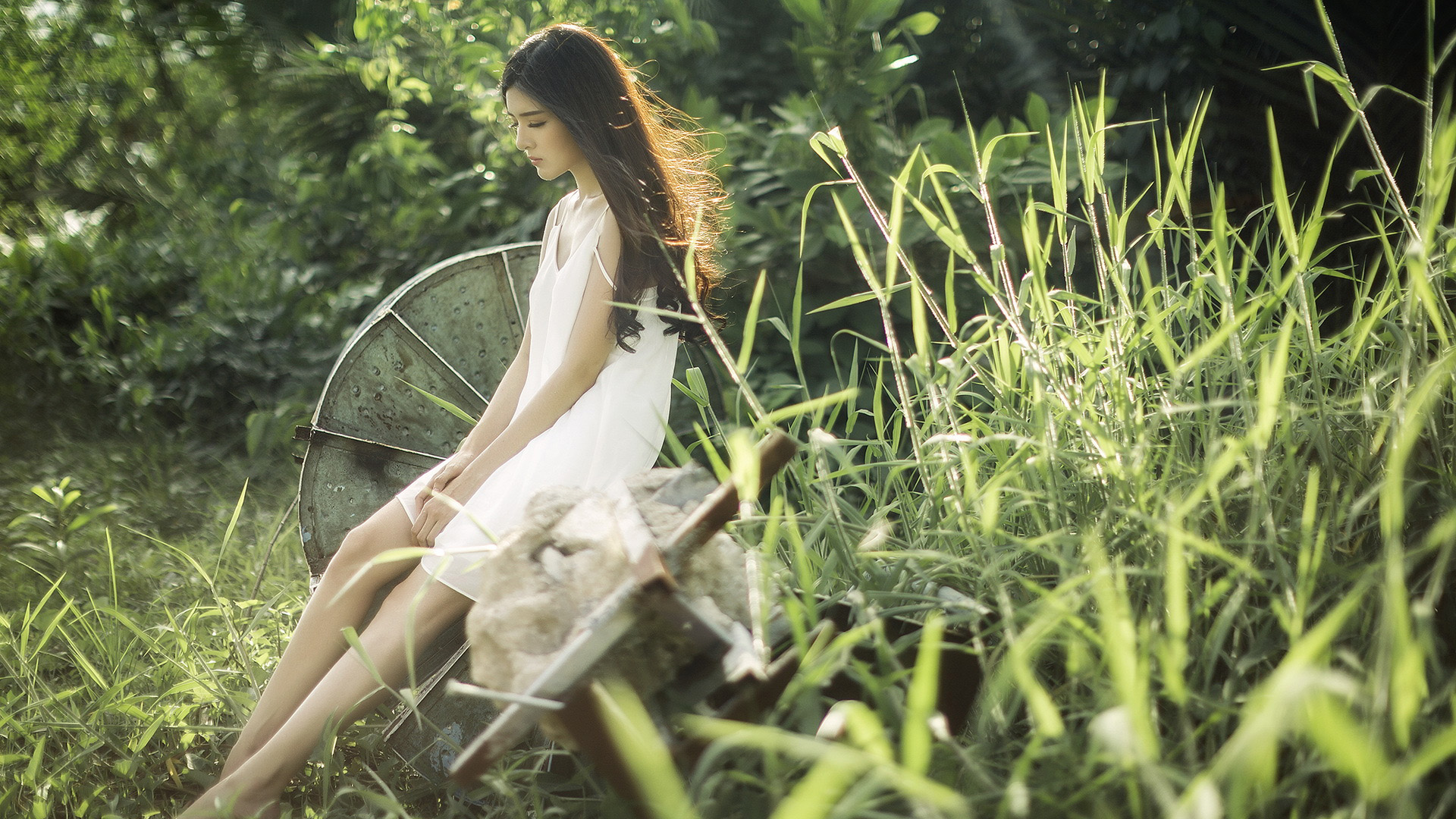 夏天户外树林风景,穿白色裙子的女孩,长发,唯美桌面壁纸